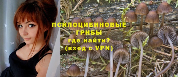 скорость Заволжье