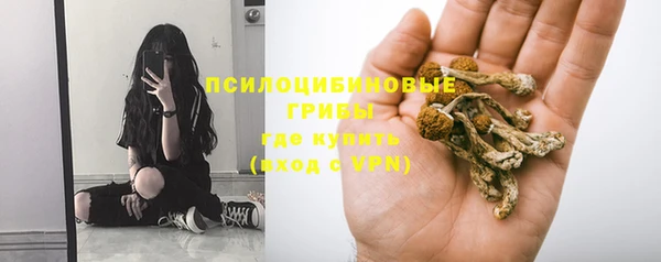 скорость Заволжье