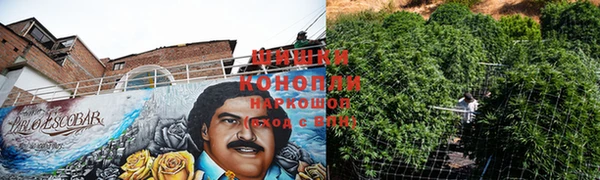 тгк Заводоуковск