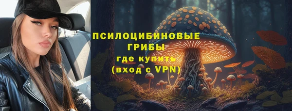apvp Заволжск